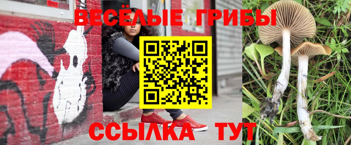 Галлюциногенные грибы мицелий  Вход с VPN  Псилоцибиновые грибы ЛСД  Лыткарино 