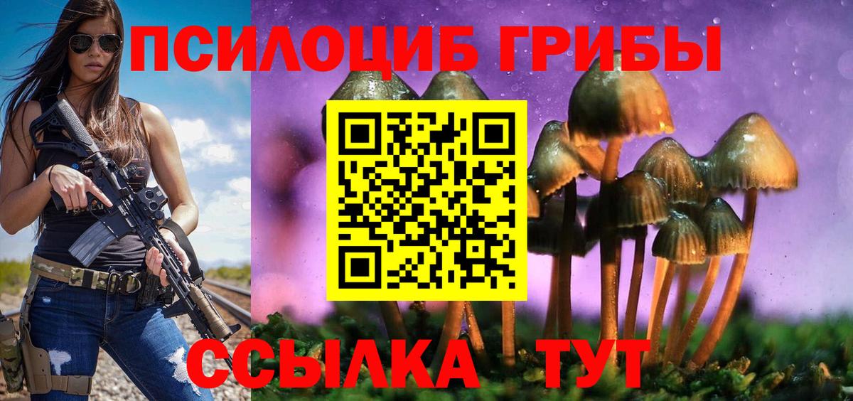 Псилоцибиновые грибы GOLDEN TEACHER Лыткарино