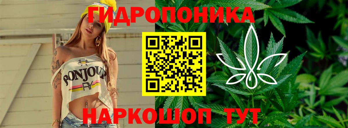Бошки марихуана индика Лыткарино